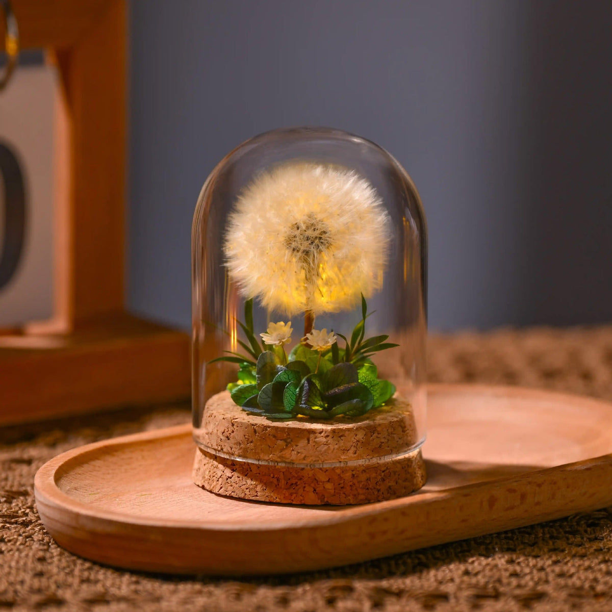 Decorative Flower Night Light With Warm Ambient Glow