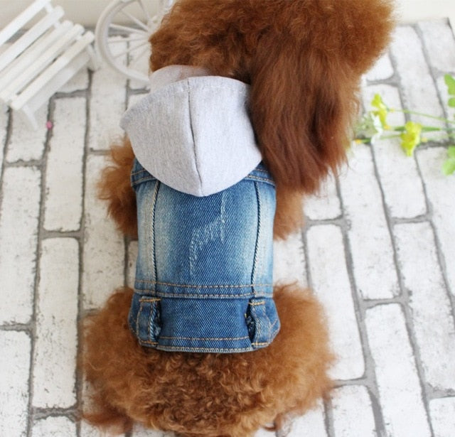 Embroidered Dog Denim Vest for Small Dogs Autumn Style