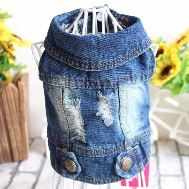 Embroidered Dog Denim Vest for Small Dogs Autumn Style