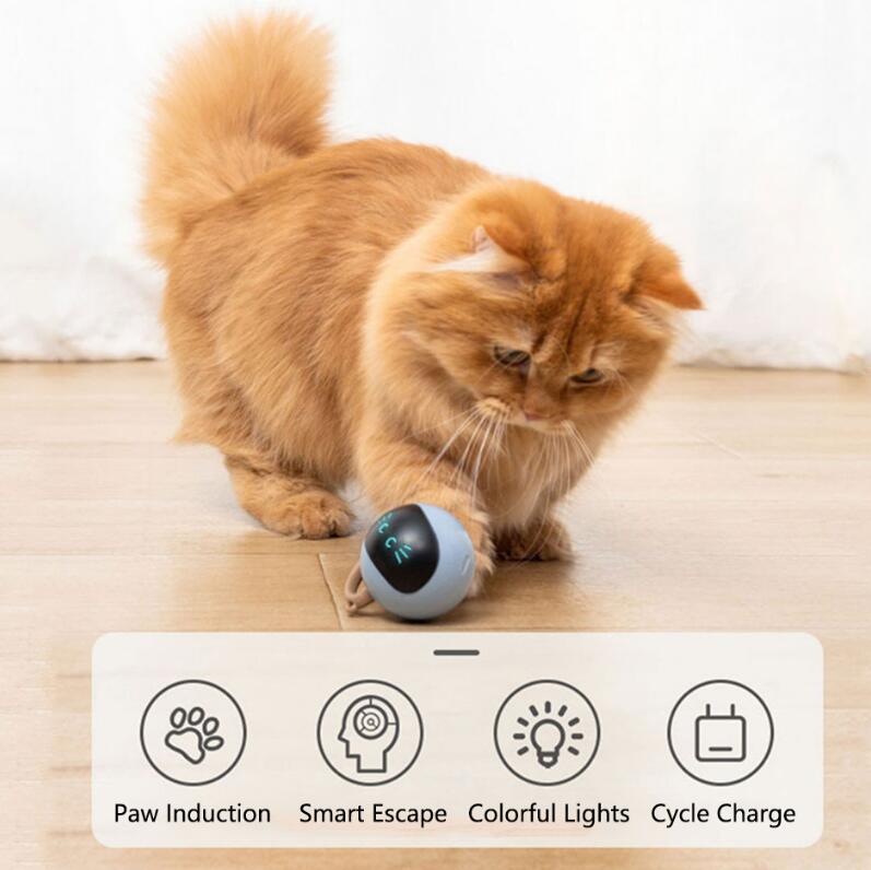 Automatic Cat Ball Toy for Indoor Interactive Play