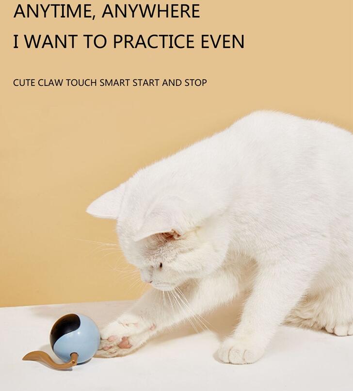 Automatic Cat Ball Toy for Indoor Interactive Play