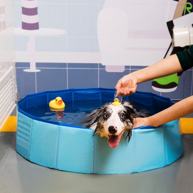 Foldable Dog Pool for Easy Cooling, Bathing & Storage