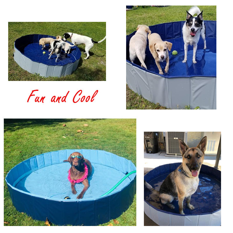 Foldable Dog Pool for Easy Cooling, Bathing & Storage