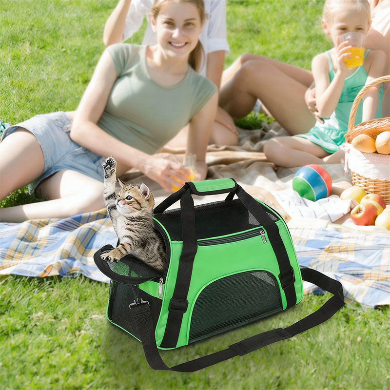 Foldable Pet Carrier Bag for Easier Small-Pet Travel