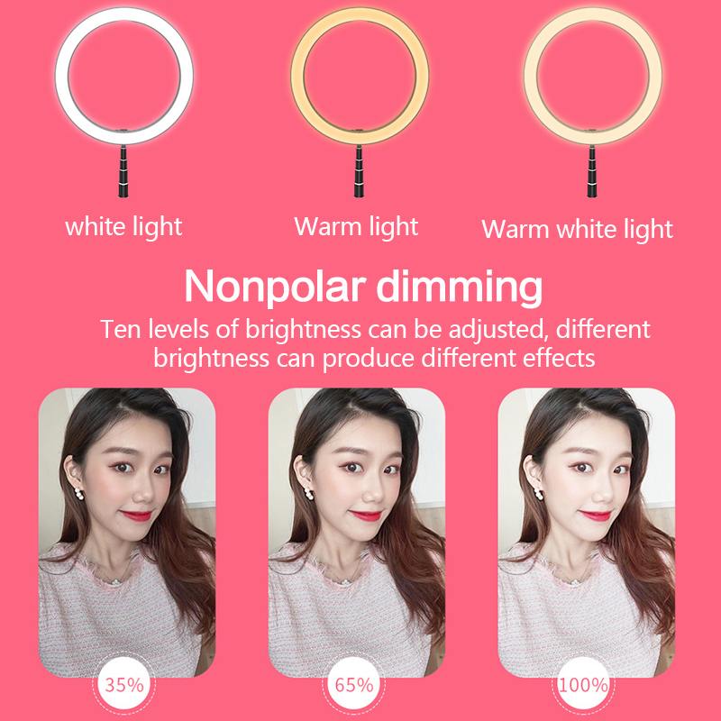 Foldable LED Ring Light with 1.68m Stand for Selfies