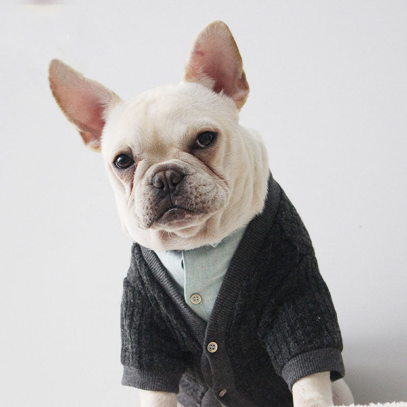 French Bulldog Sweater for Stylish Everyday Warmth
