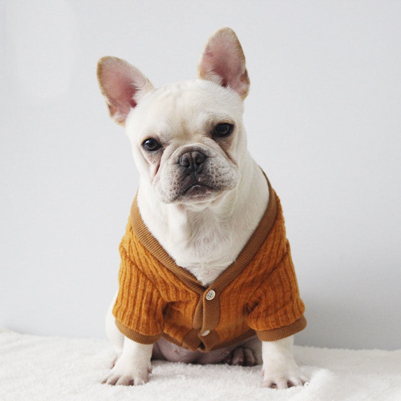 French Bulldog Sweater for Stylish Everyday Warmth