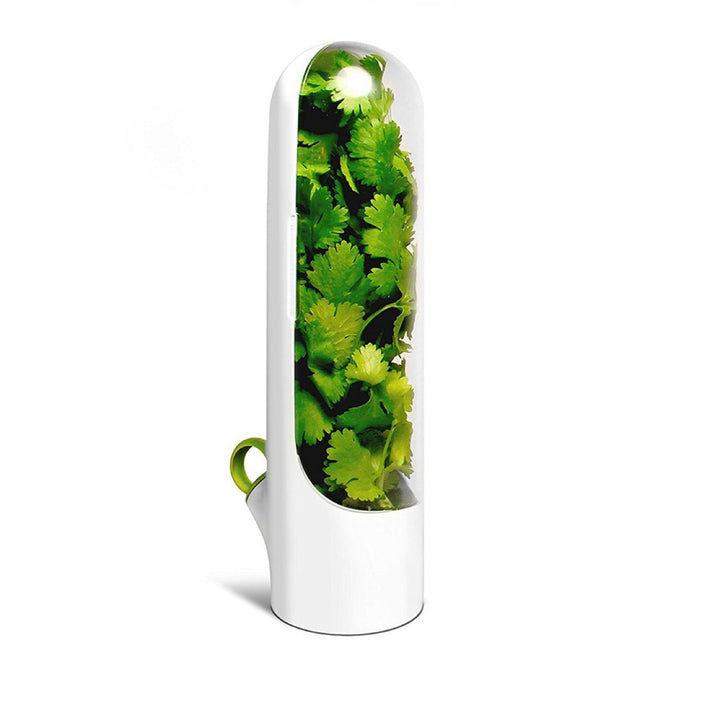 Fridge Herb Keeper With Dome That Keeps Herbs Fresh