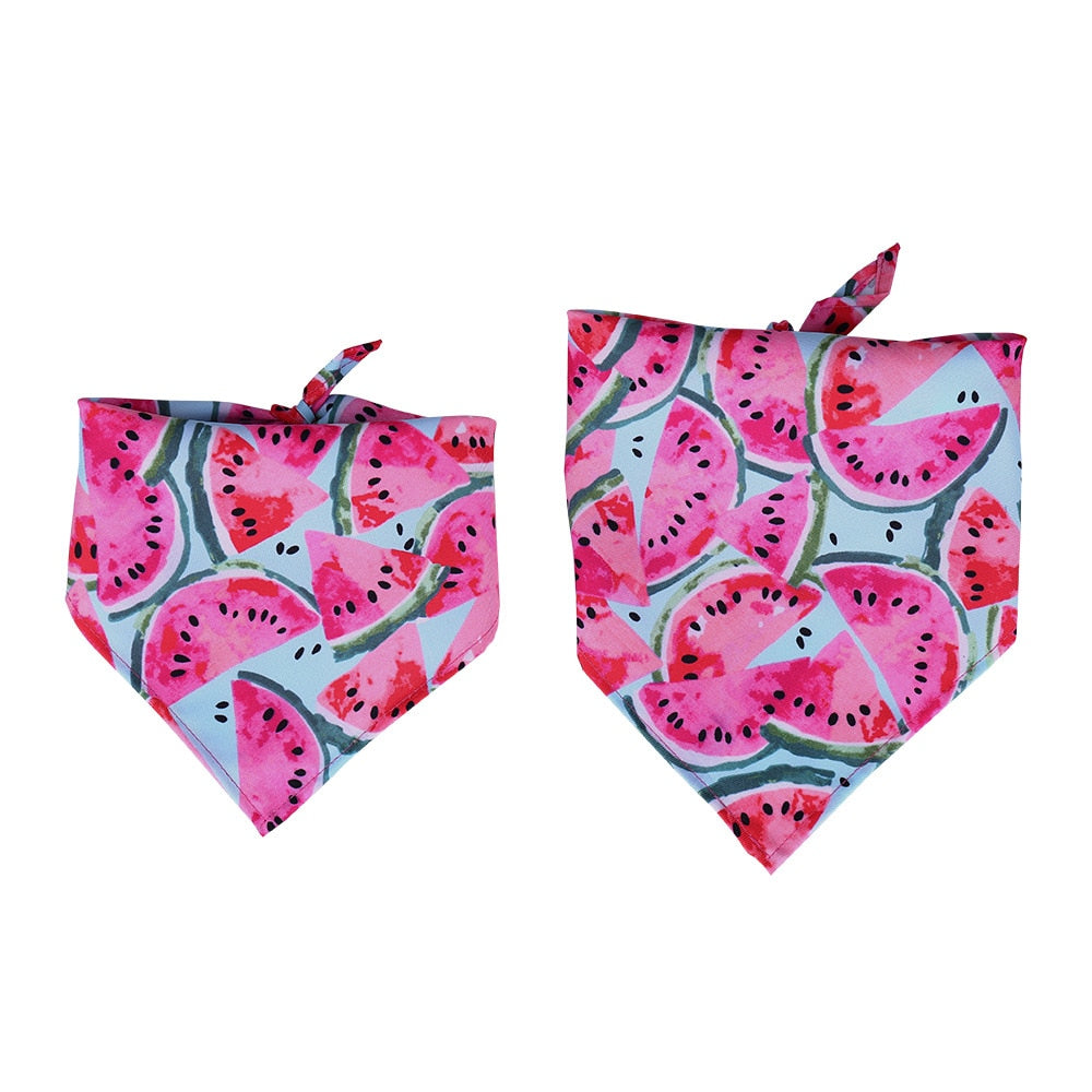 Fruit Print Pet Bandana for Colorful Summer Pet Style