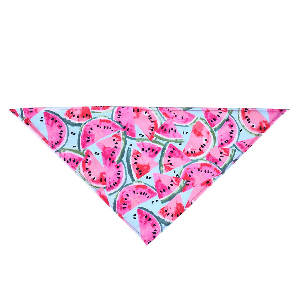 Fruit Print Pet Bandana for Colorful Summer Pet Style