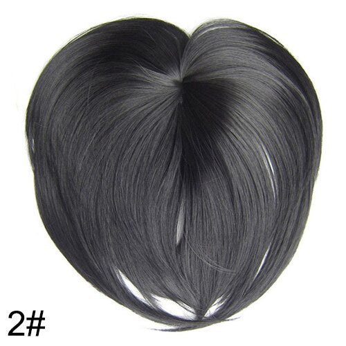 Clip In Bangs Synthetic — Blunt Fringe Hairpiece in 9+