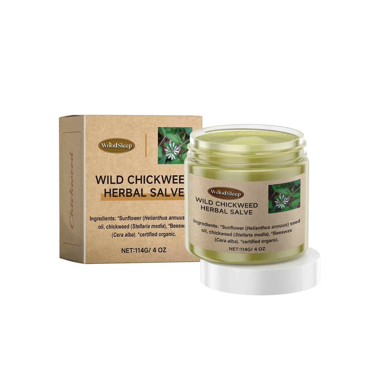 WoodSleep Wild Chickweed Herbal Salve jar with kraft cardboard box on clean white background