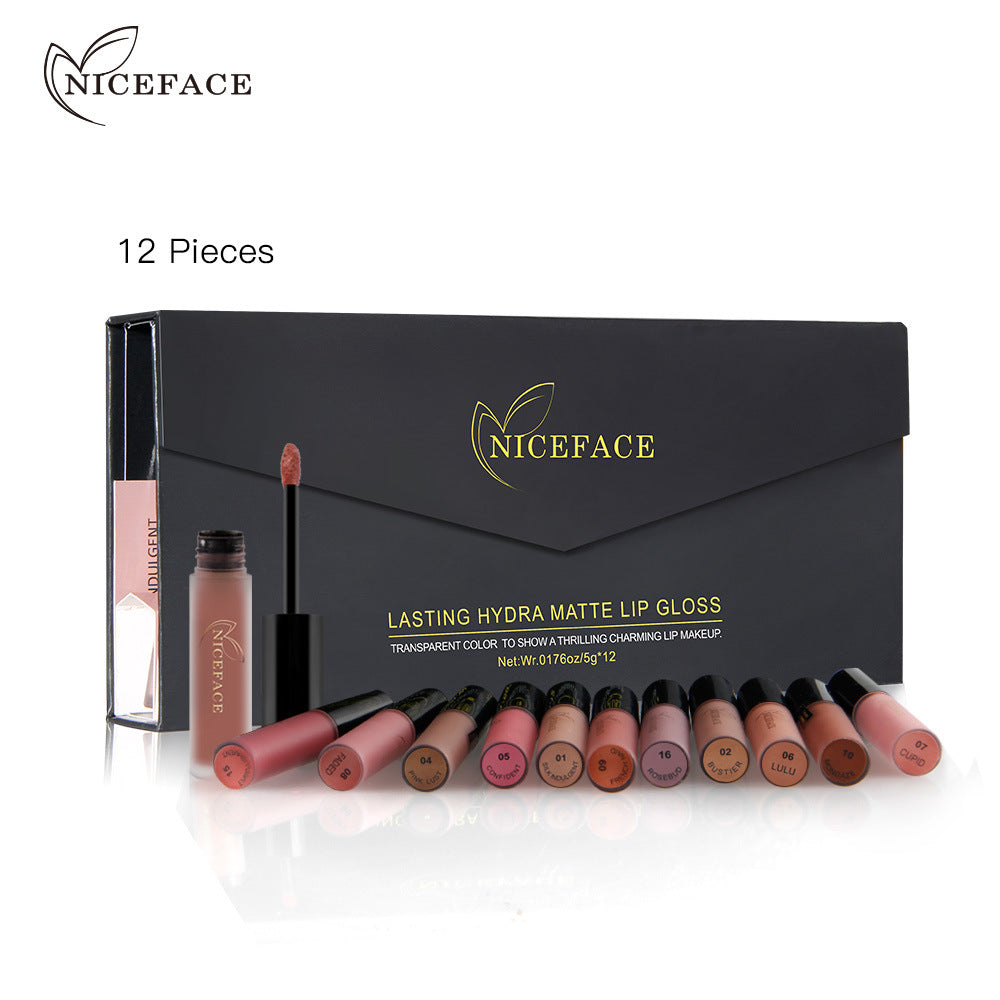 12-Color Matte Lip Gloss Gift Set for Lasting Color