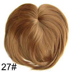 Clip In Bangs Synthetic — Blunt Fringe Hairpiece in 9+