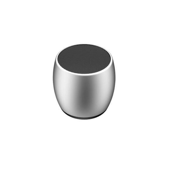 Mini Dual Bluetooth Speaker with Charging Base — True