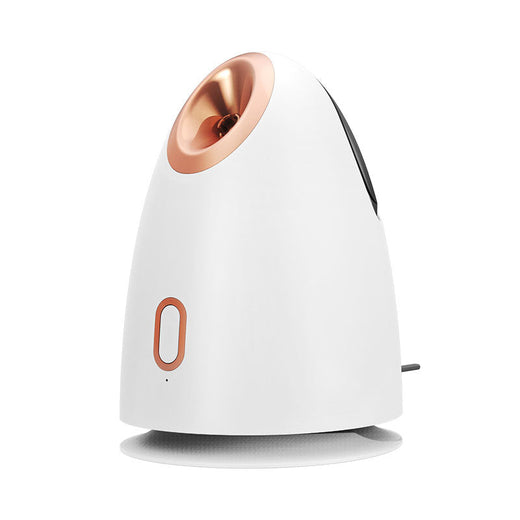 Facial Steamer with Warm Nano Mist for Dry-Feeling Skin