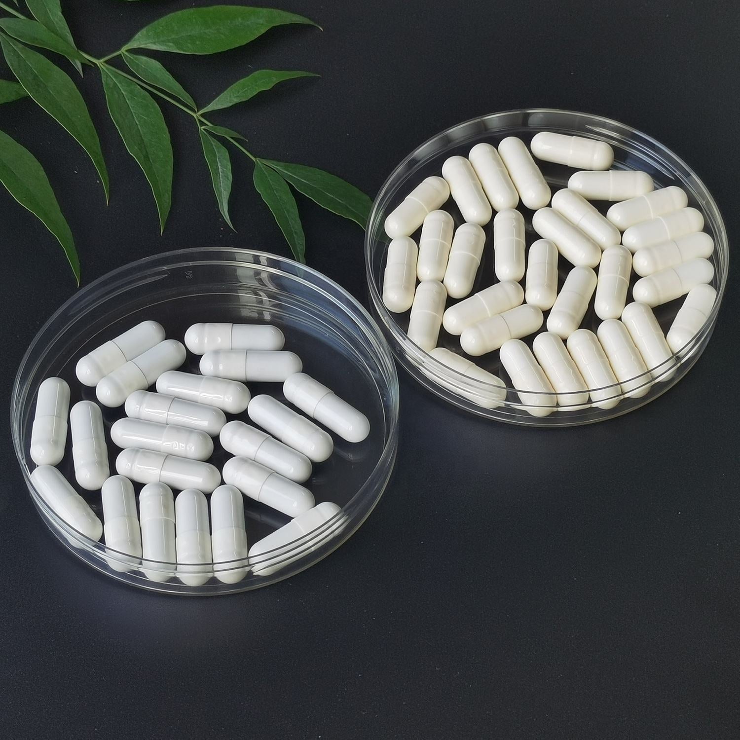 Two glass bowls filled with white vegetable capsules arranged on dark surface with green botanical foliage