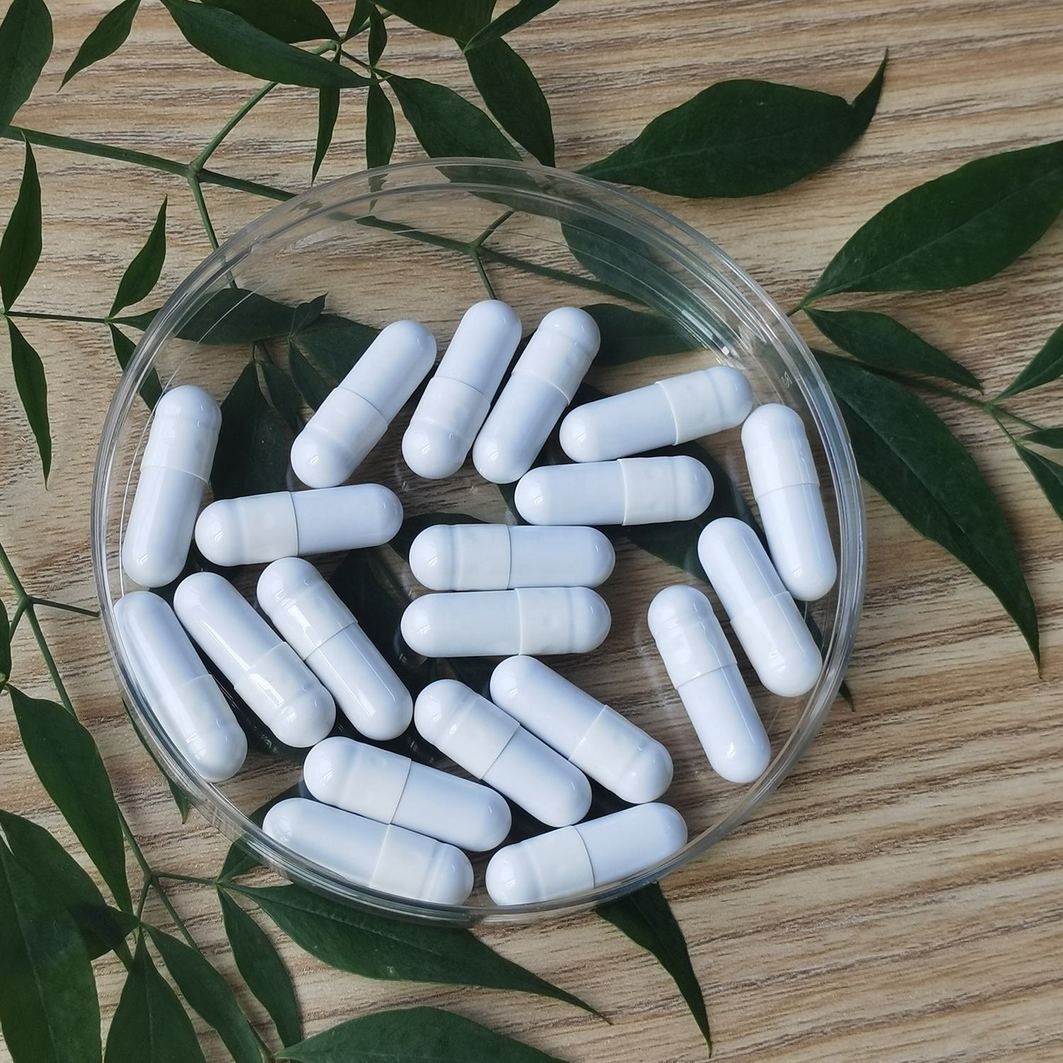Two clear glass petri dishes containing white vegetable capsules with fresh green plant leaves on dark background