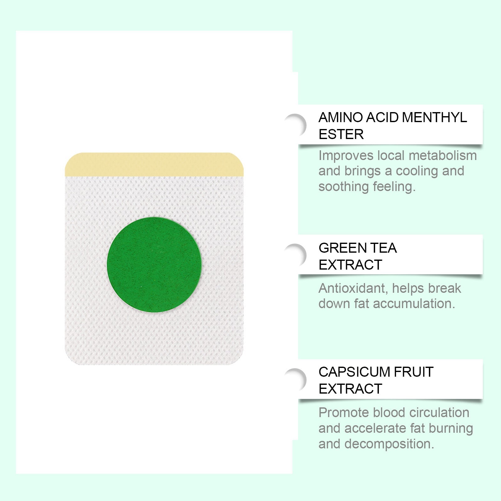 Close-up illustration of adhesive patch with three ingredient callouts: Amino Acid Menthyl Ester (cooling metabolism), Green Tea Extract (antioxidant fat-break), and Capsicum Fruit Extract (circulation and fat burning)