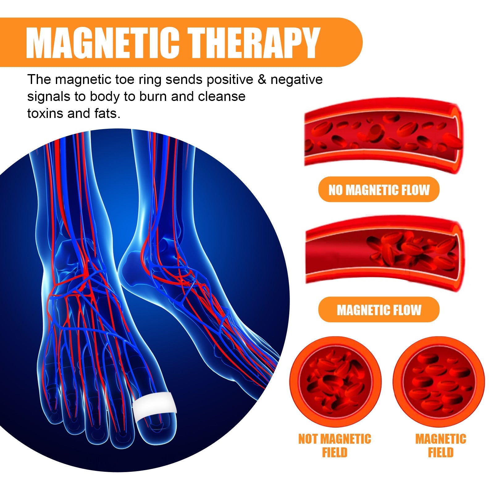 EELHOE Magnetic Therapy Slimming Toe Rings box and product display showing 4 white silicone rings with magnetic inserts