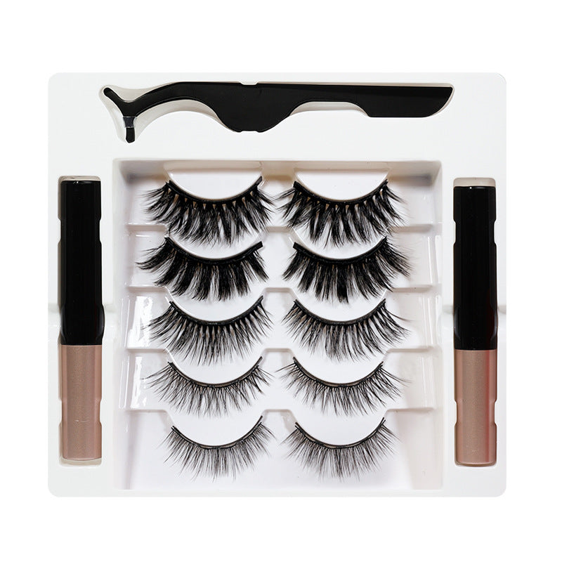 Magnetic False Eyelashes 5 Pairs for Glue-Free Glam