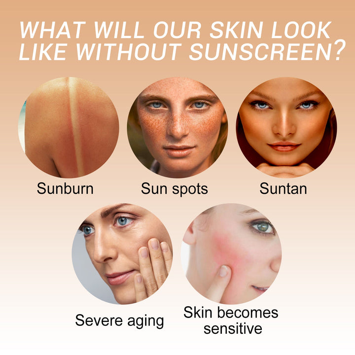 Rice Extract Sun Cream SPF 50+ PA++++ Daily Moisturizer