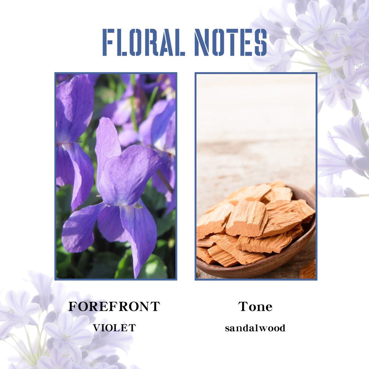 Violet Perfume Spray – Fresh Light Everyday Fragrance