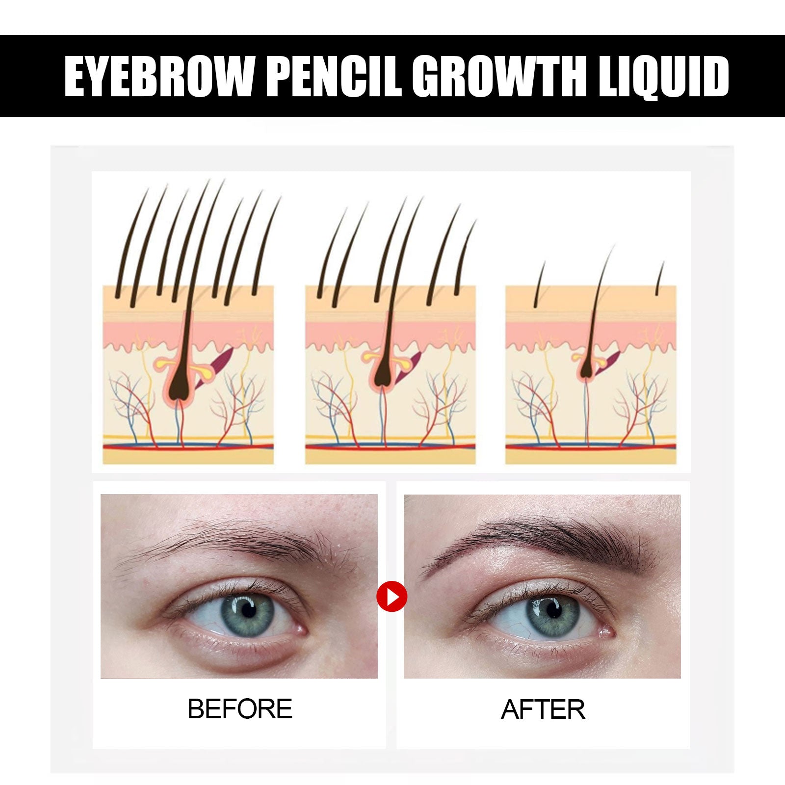 Educational infographic showing hair growth mechanism with cross-section diagrams of follicle stimulation, plus side-by-side before/after eyebrow photos