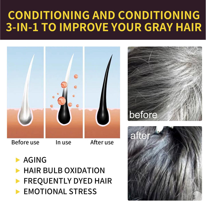 Black Hair Shampoo for Gray Hair Color & Moisture