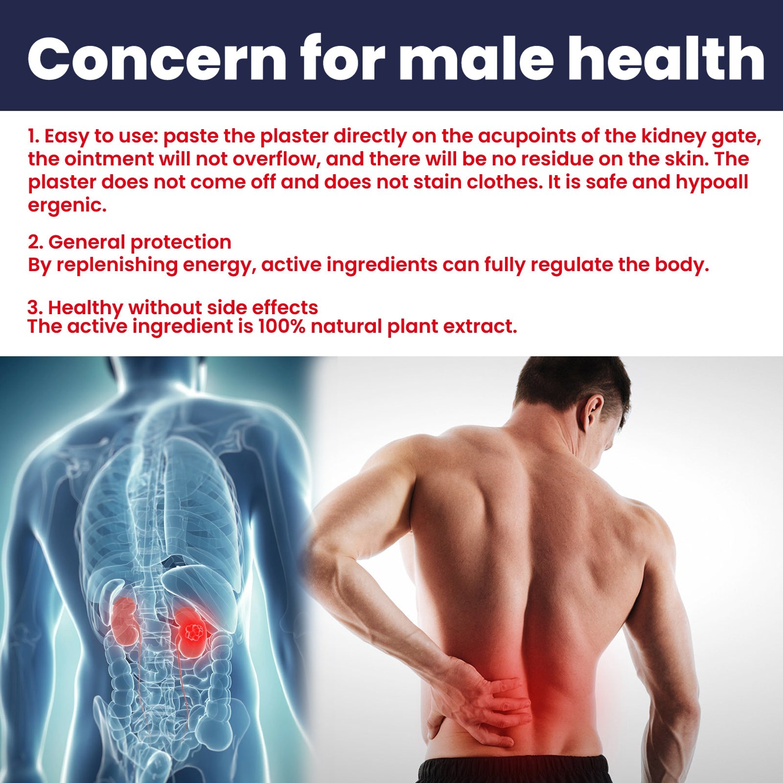 Text detailing product benefits with anatomical kidney illustration and male lower back pain imagery