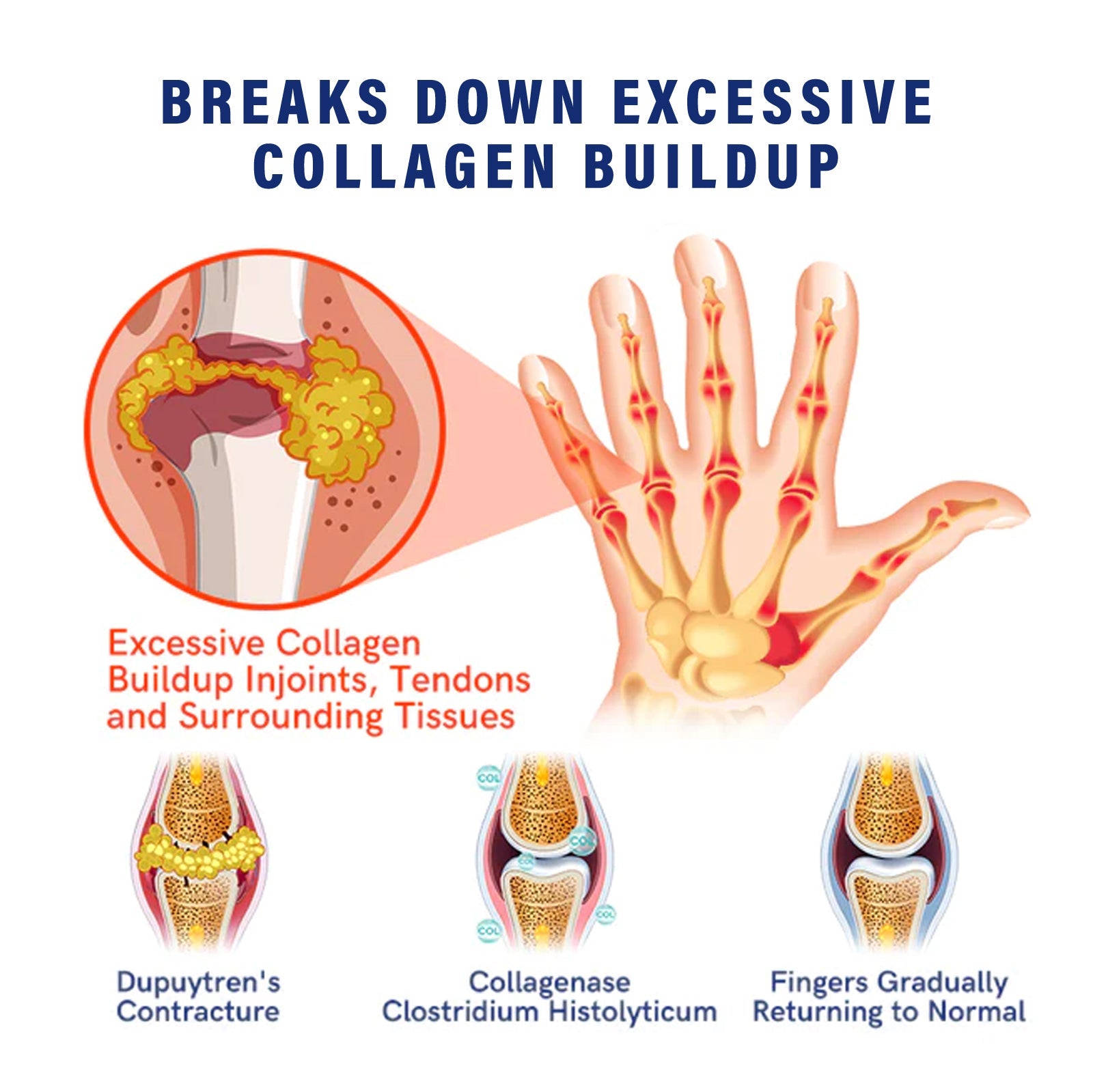 Lifestyle image showing before/after hand comparison and application on arm with skeletal overlay