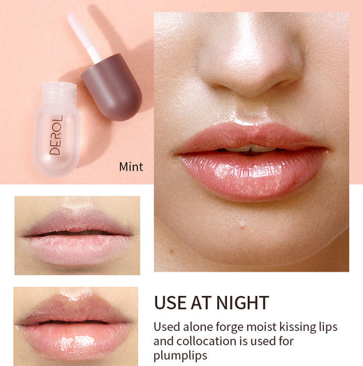 Ginger Mint Lip Plumper Day & Night Moisture Duo