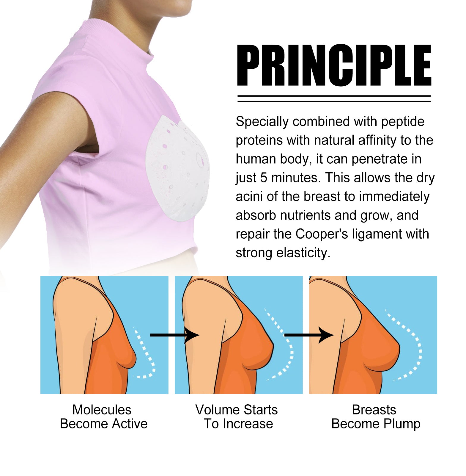 Technical explanation of principle with peptide protein mechanism, 5-minute penetration timeline, and three-stage progression graphic showing volume increase