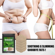 Black resealable pouch with green label showing EELHOE Wonderposted Quick Slimming Patch branding, wormwood plant imagery, and 5PCS count