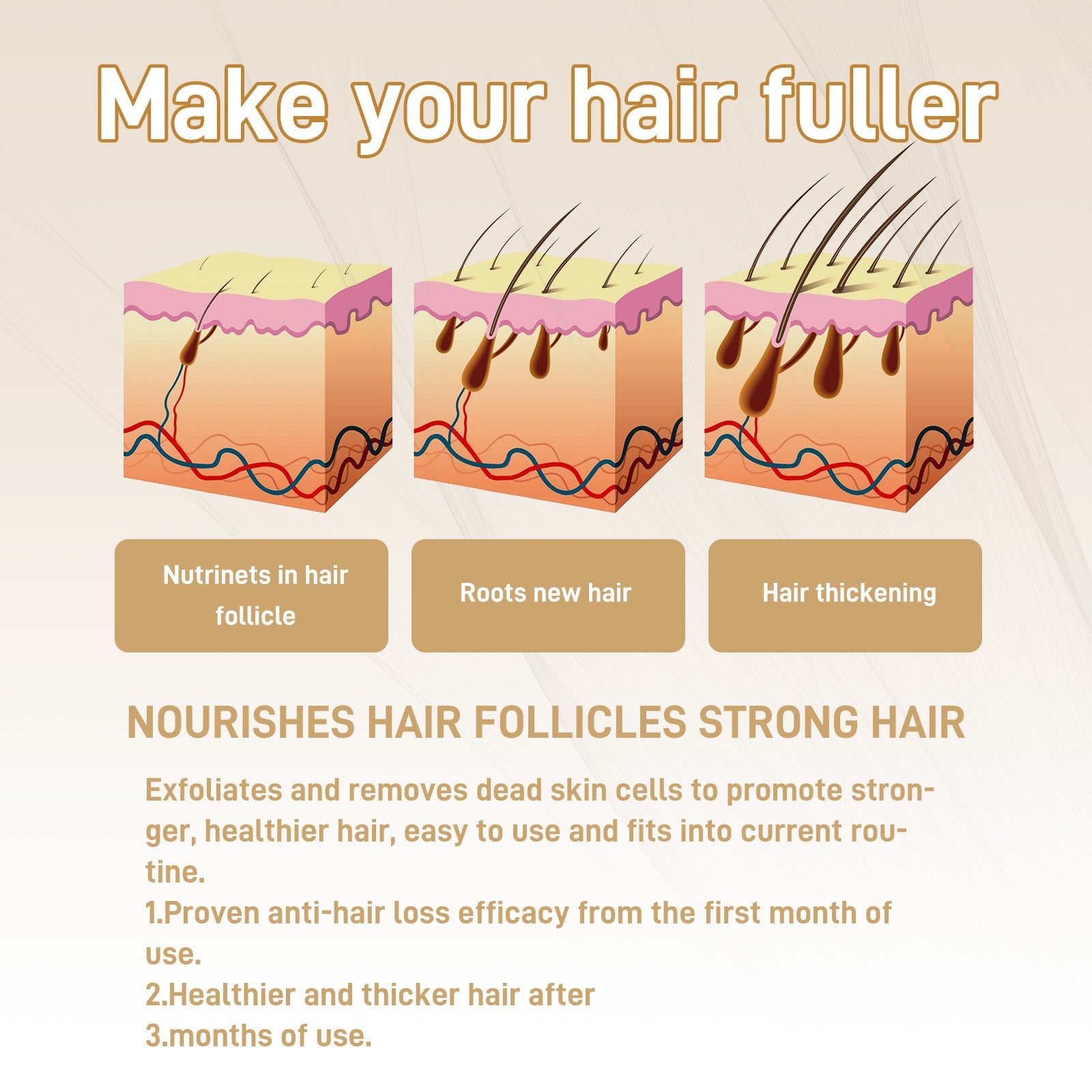 Four pain-point scenarios: oily hair, dry/damaged hair, hair loss/thinning, split ends with 'Do you have the following troubles' text