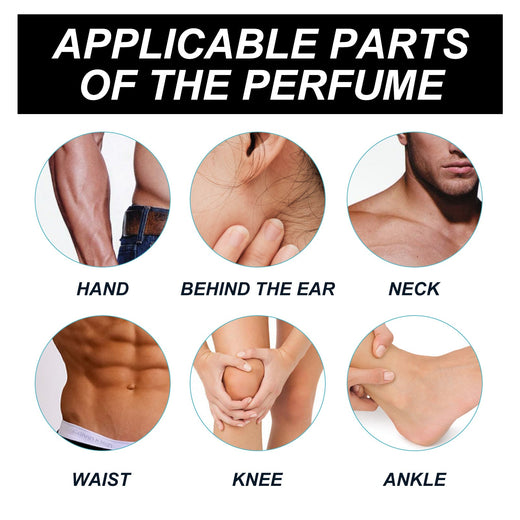 Men's Fragrance for Lasting, Elegant Everyday Charm