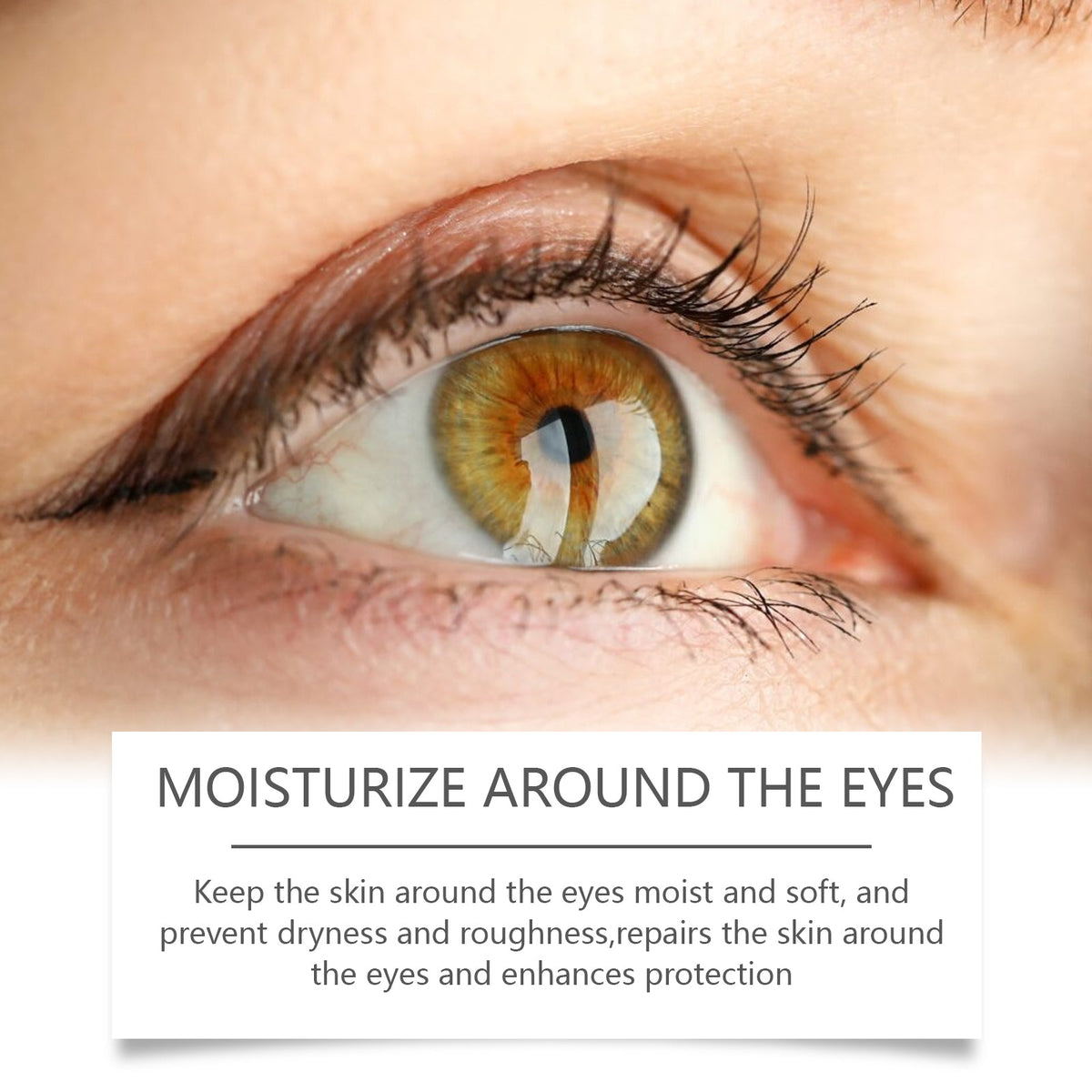 Bee Venom Eye Cream for Puffiness & Dark Circles