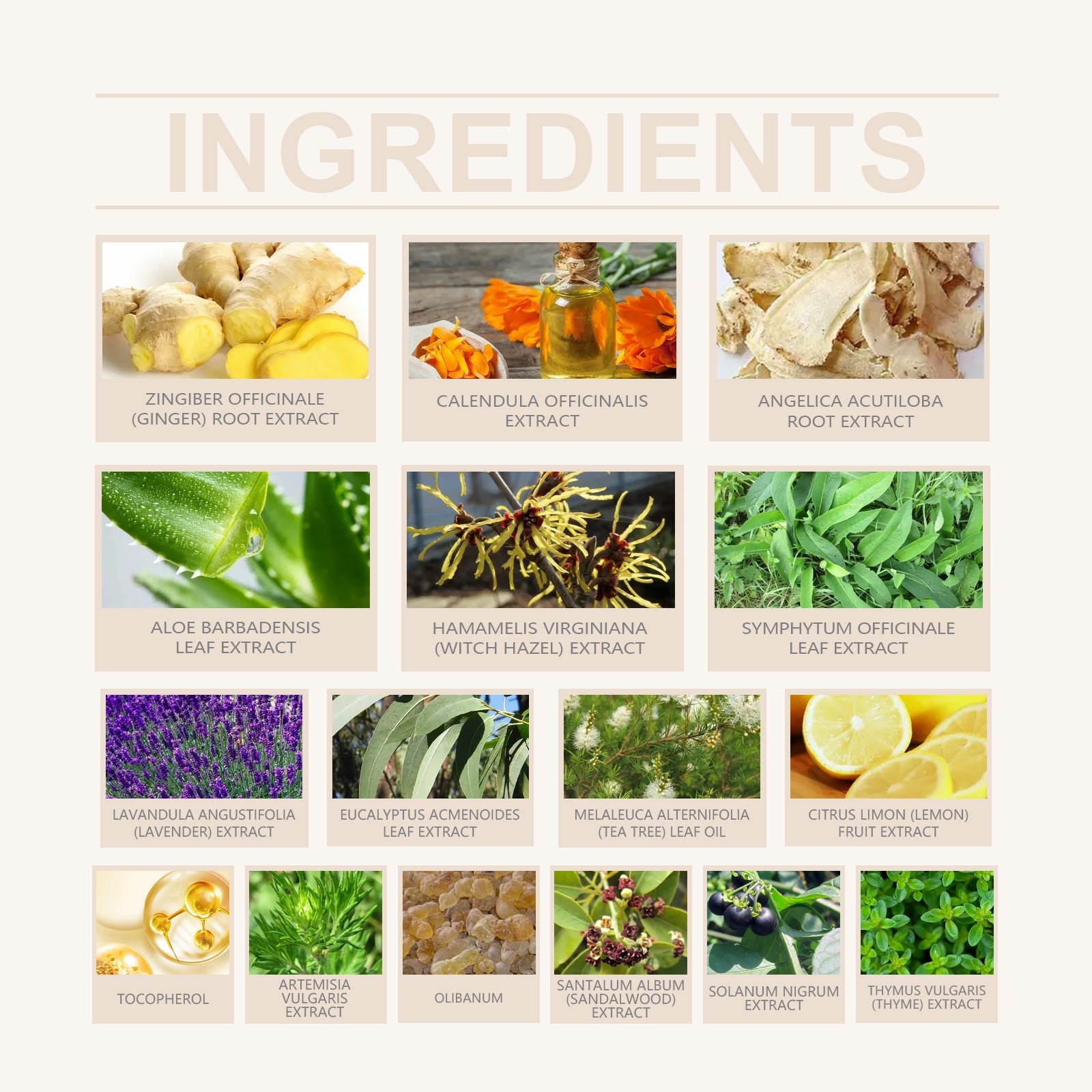Product jar with dual benefit callouts: Gentle Maintenance (calendula/arnica) and Deep Nourishment (ginger/nourishing oils)