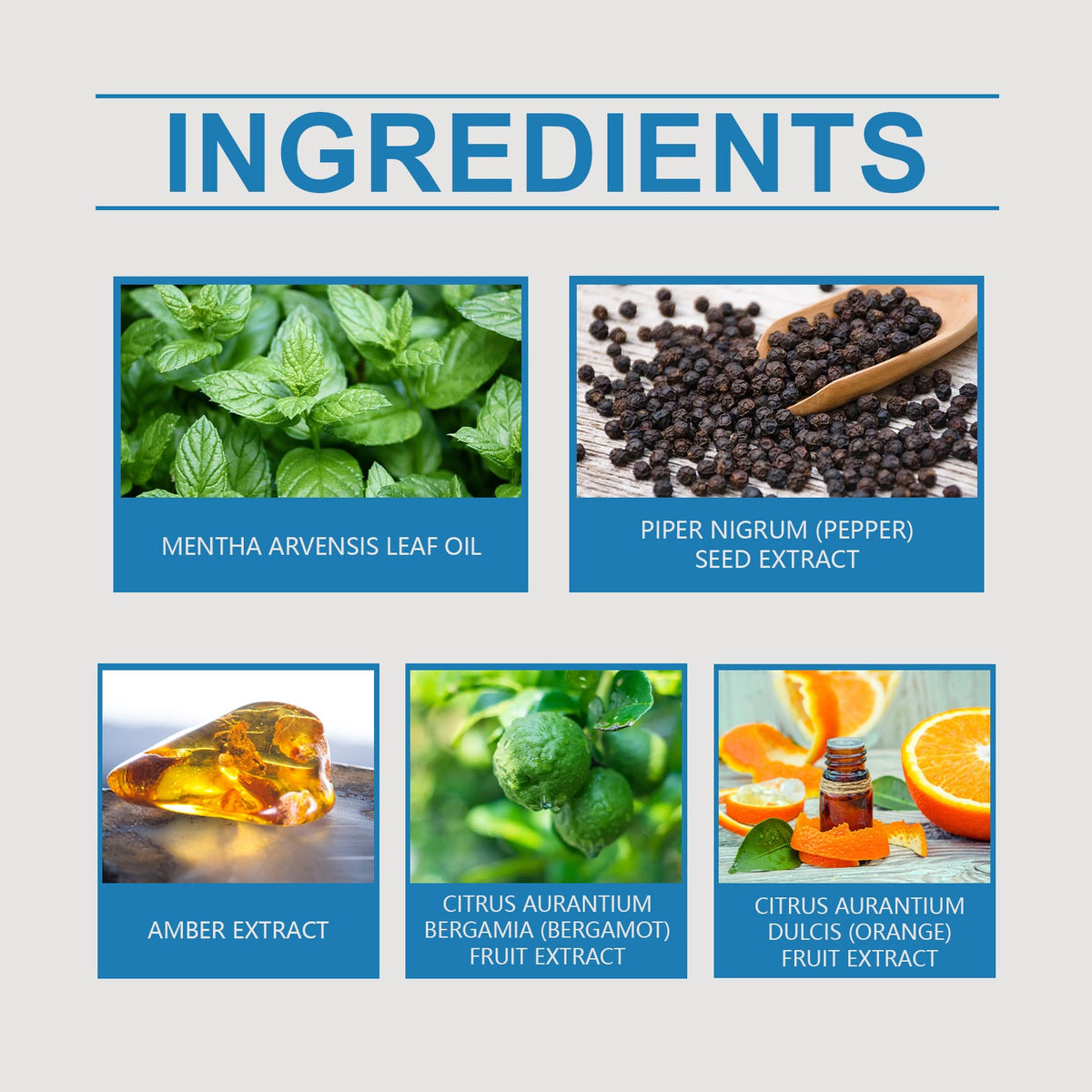 Men's Mint Cologne – Fresh Long-Lasting Daily Scent