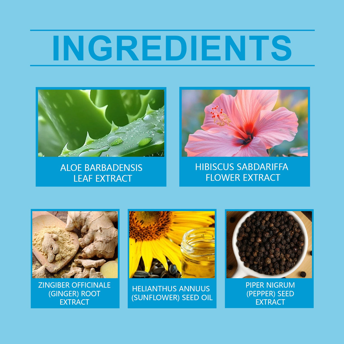 Wiyun Body Patch: Lymphatic Detox & Bloat Relief