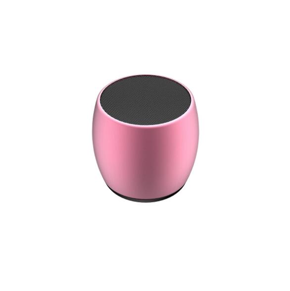 Mini Dual Bluetooth Speaker with Charging Base — True