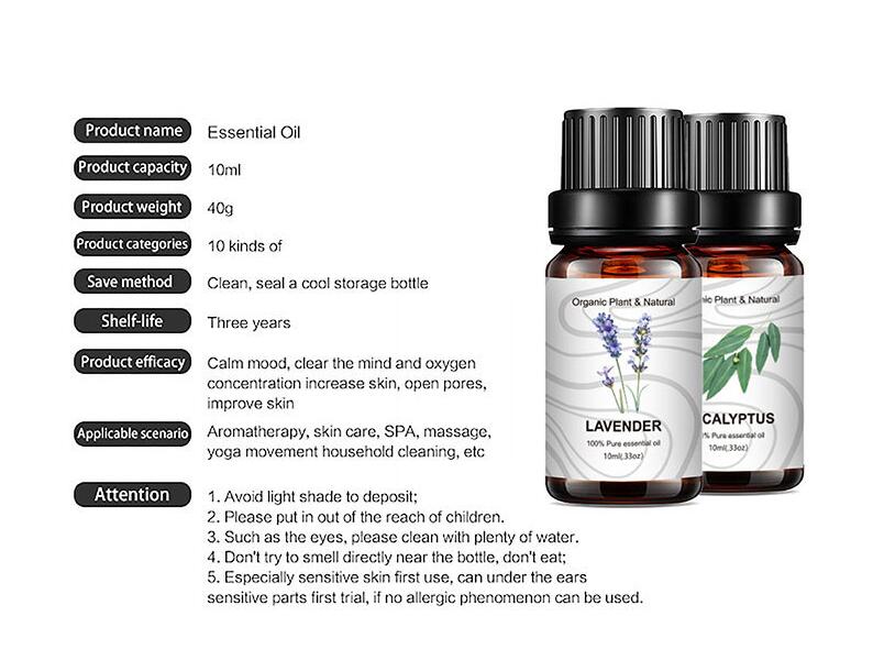 Essential Oil Set: 14 Pure Scents for Home Rituals