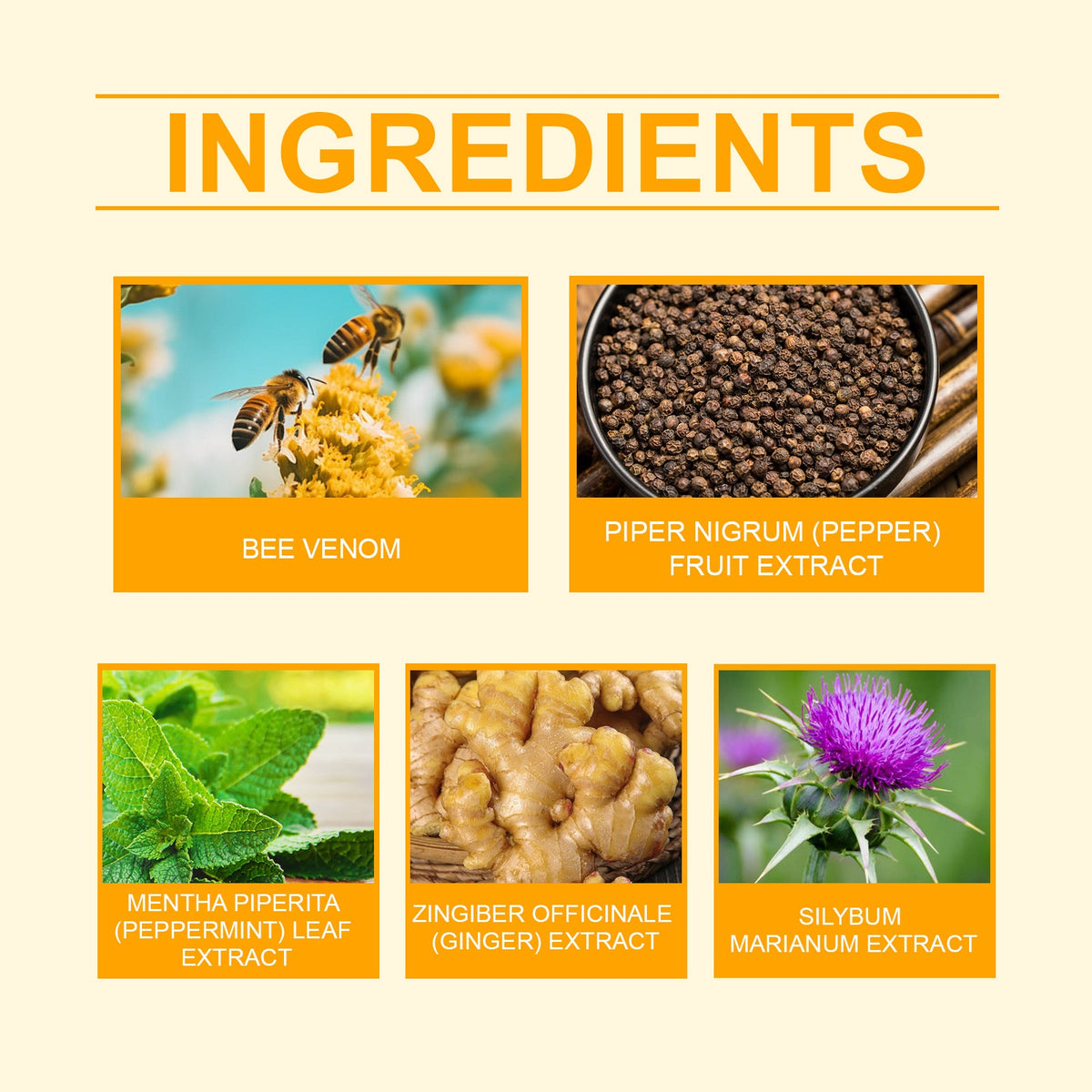 Bee Venom Body Patches — Visibly Reduce Cellulite & Stretch
