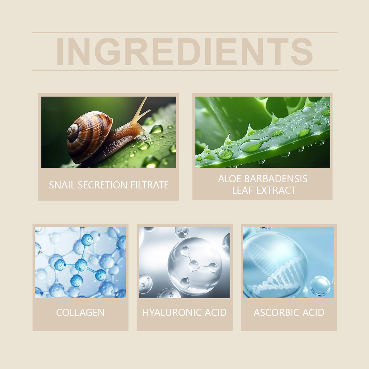 Snail Mucin Serum 96% - Deep Hydration & Wrinkle Repair