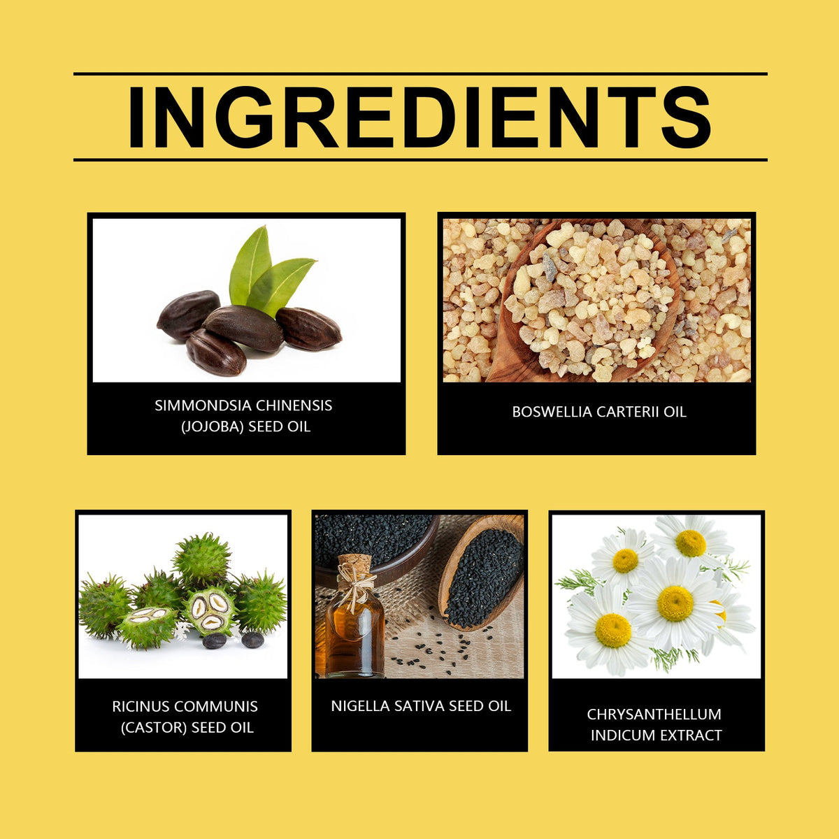 Frankincense Facial Oil for Firming & Deep Nourishment