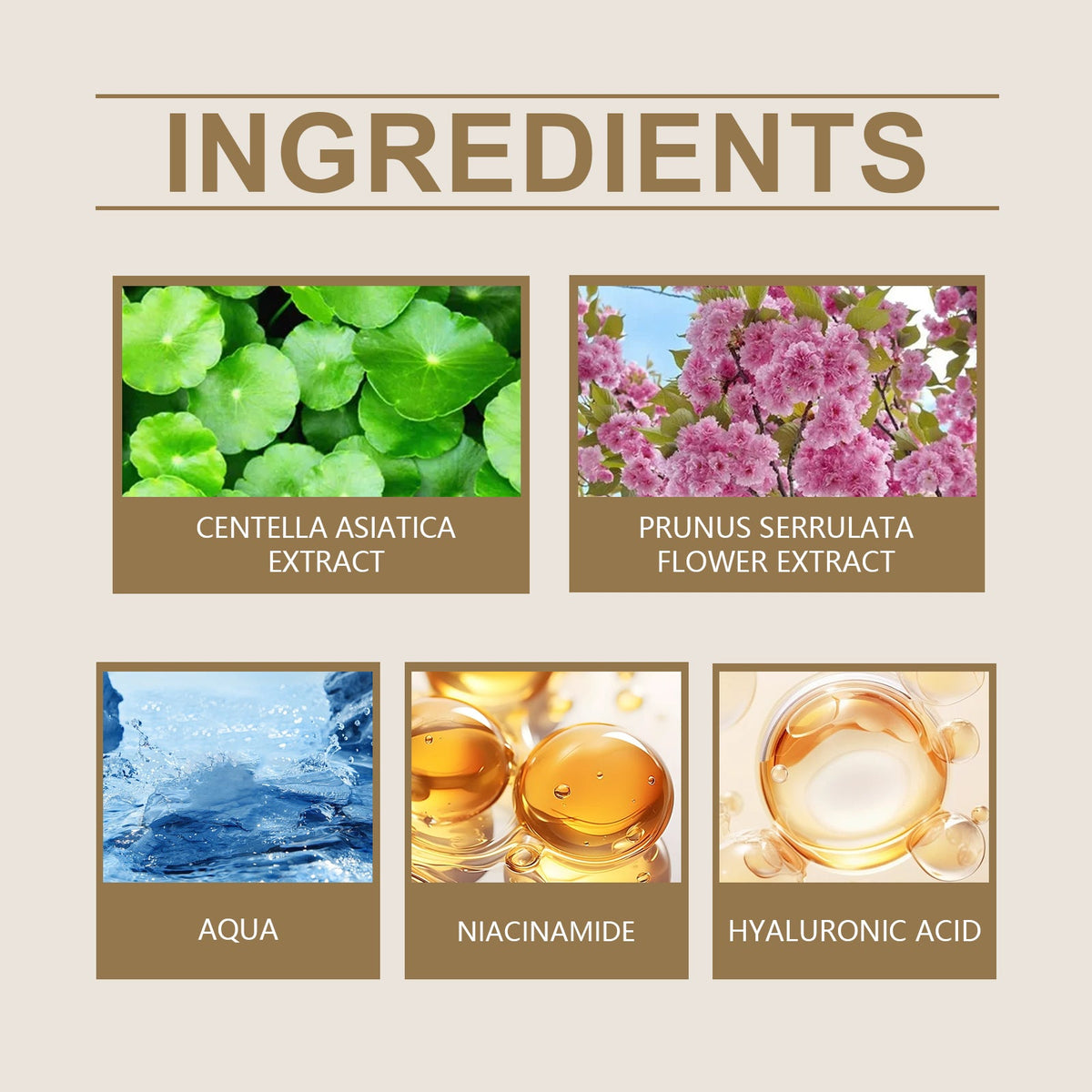 Moisturizing Concealer Cream for Smooth, Radiant Skin