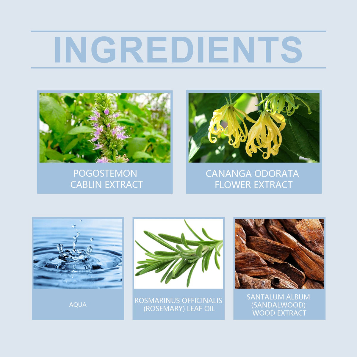 Men's Fragrance for Fresh, Lasting Everyday Confidence