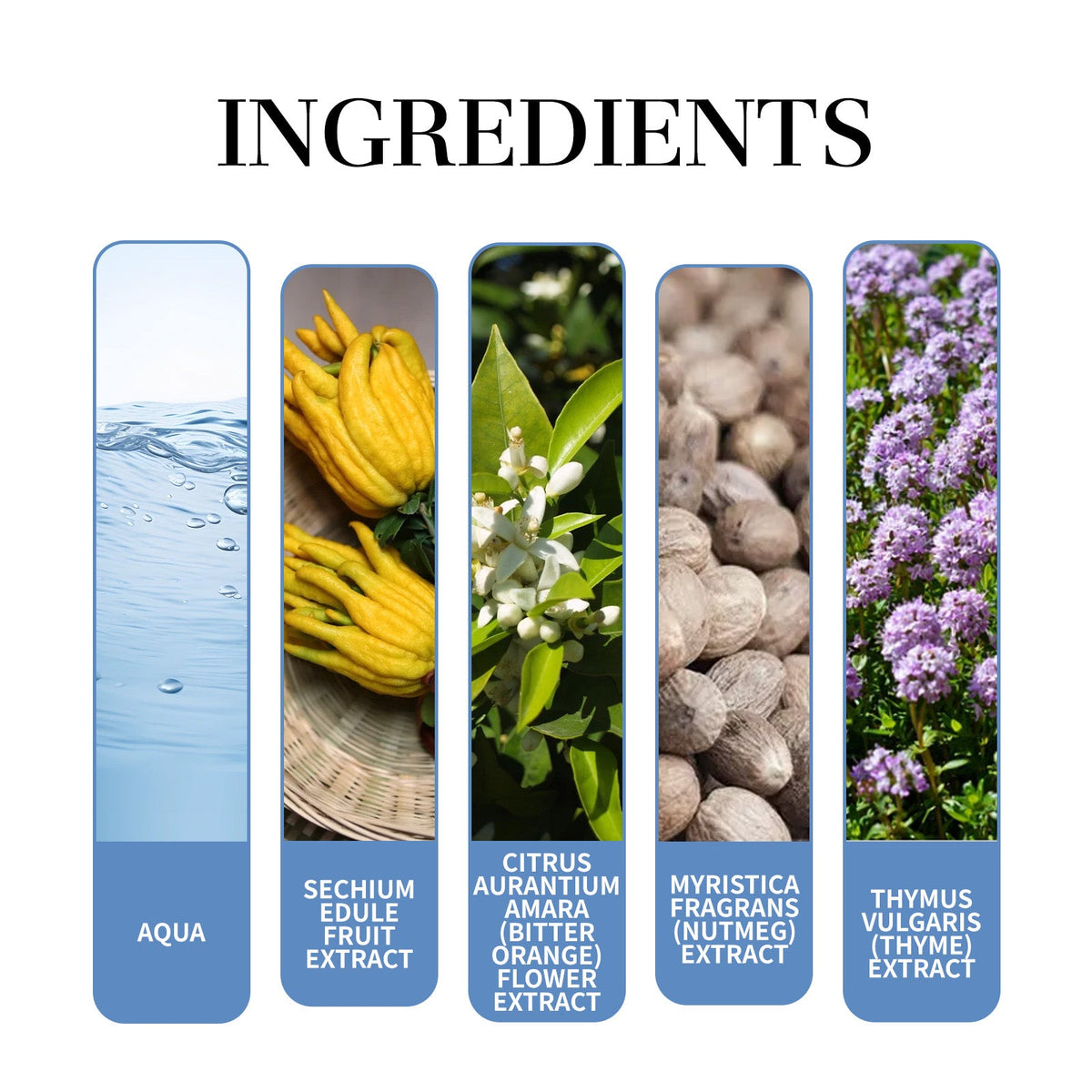 Men's Bergamot Fragrance for Fresh, Confident Charm