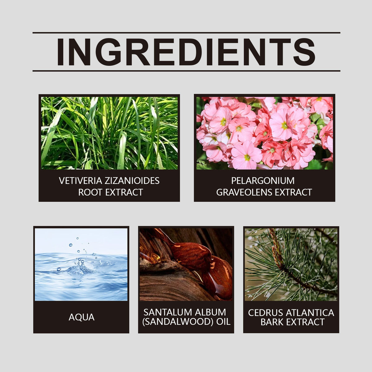 Geranium Inspired Perfume for Effortless Confidence