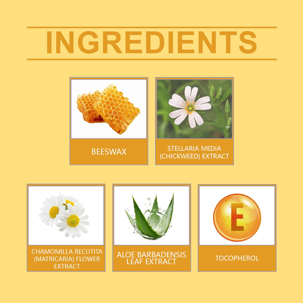 Wild Chickweed Herbal Balm for Firming & Skin Tone
